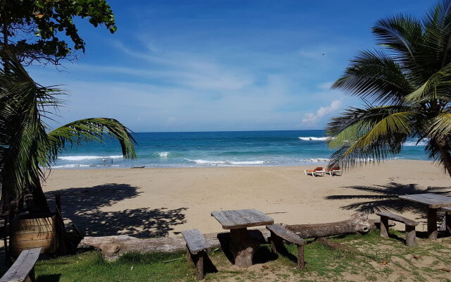 Cabarete Boutique Ecolodge Beachfront