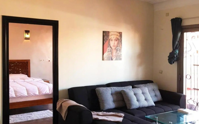 Safran flat with 2 large terraces Central Location