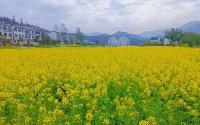 Wuyuan Wanling Inn (Jiangwan Scenic Area)