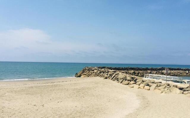 Punta centinela