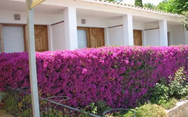 Hostal Restaurant Ondina