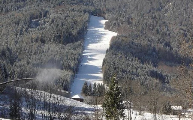 Chalet Schneerose