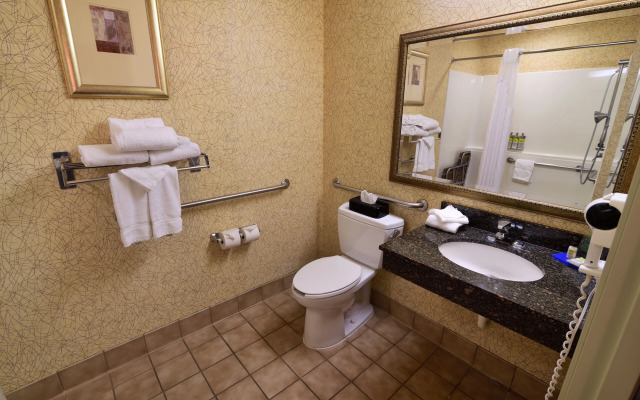 Holiday Inn Express Hotel & Suites Idaho Falls by IHG