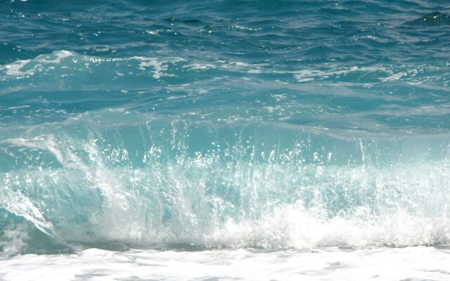 Ground floor apartment, private patio, east facing