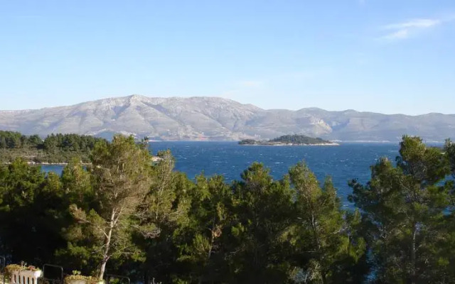 Pension Bebic