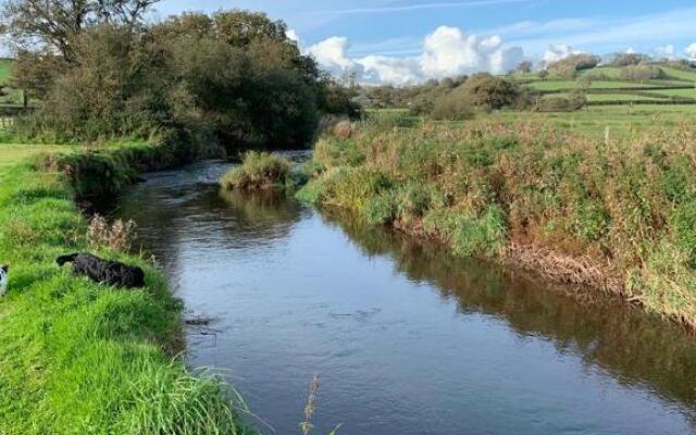 The Reindeer Retreat Daisy Double