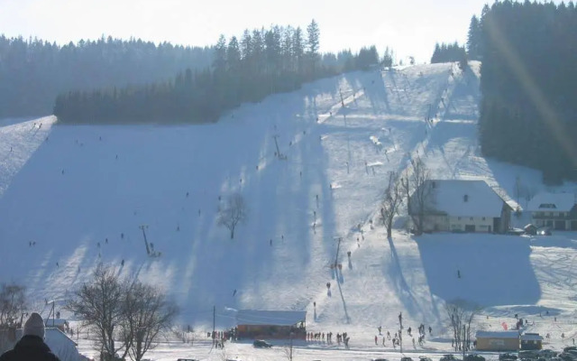 Hotel Schwarzwaldgasthof Zur Traube