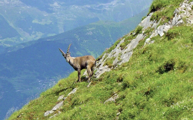 Magnificent Apartment near Faggen Tyrol with Mountain View