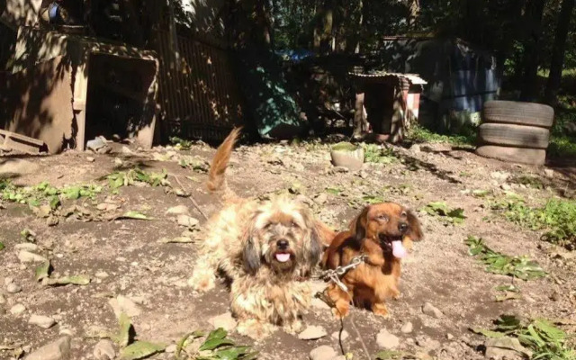 Cottage Itsubi no Sato