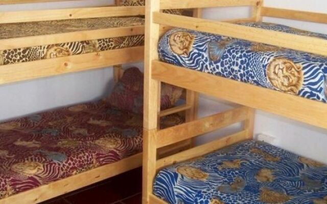 Shark Shack Backpackers