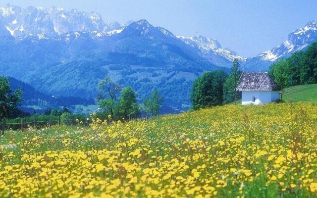 Berggasthof Hotel Weingarten