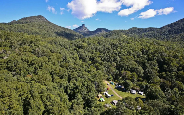 Mt Warning Rainforest Park