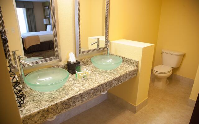 Holiday Inn Chicago North - Gurnee