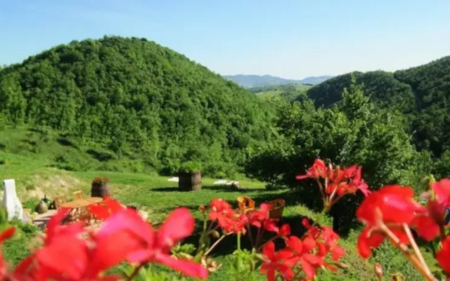 Agriturismo Carincone