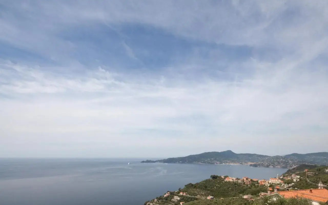 Rosso su Portofino
