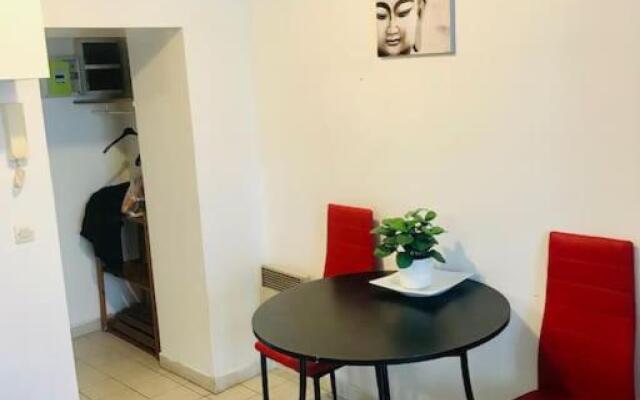 VERY LARGE STUDIO in the center of Fontainebleau