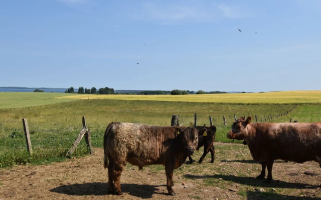 Lovely Farmhouse in Boiensdorf Amidst the Forest