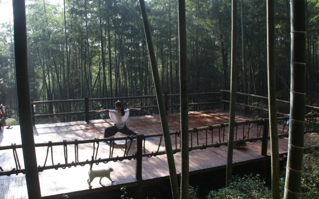 Om Yoga Resort