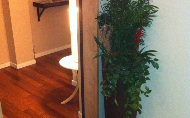 Rigoletto Rental Rooms