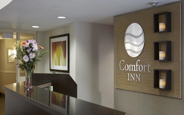 Comfort Inn South