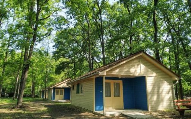 Dorcas Center & Camping