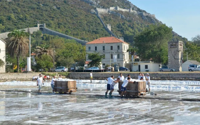Vila Ruža