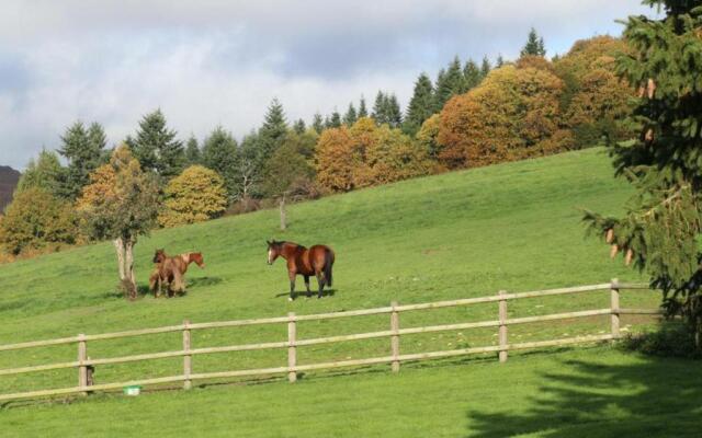 Gîte Radon, 2 pièces, 3 personnes - FR-1-497-111