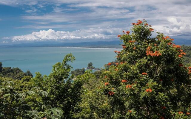 Luxury Ocean View Condo - Ultimate Convenience