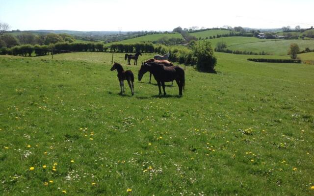 The Rock Equestrian Farm B&B