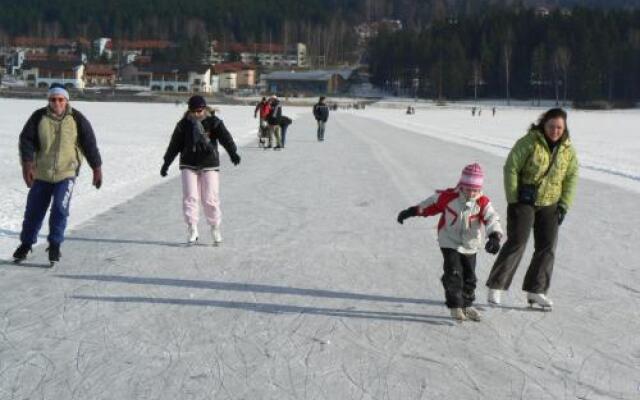 Myši V Botě Lipno