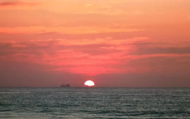 The Beach Bungalow