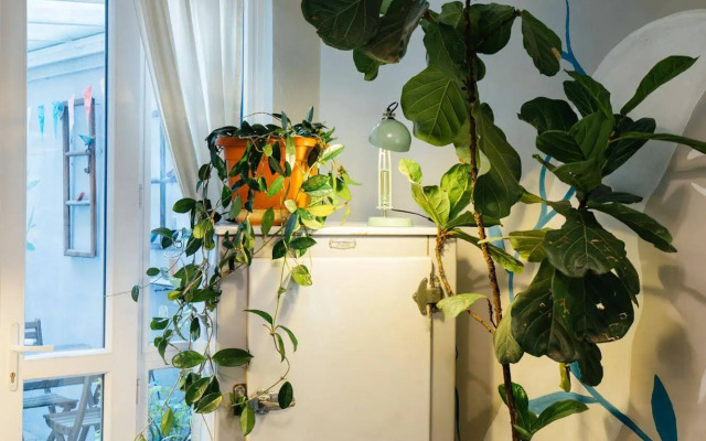 Tomato Backpackers Hotel