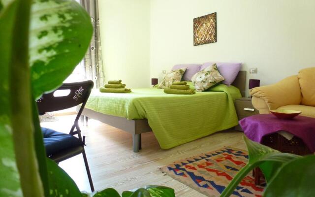 B&B Luce Viola