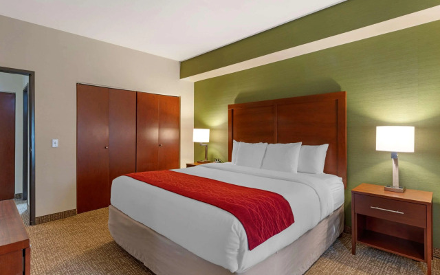 Comfort Inn and Suites Salem