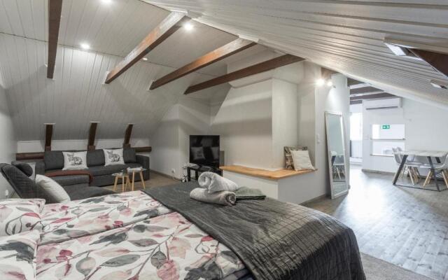 Unique open space loft studio in the attic