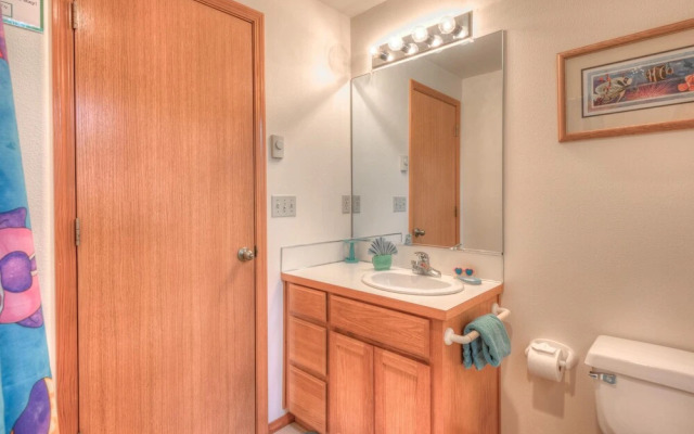 Avas Sunny Delight (MCA 682)