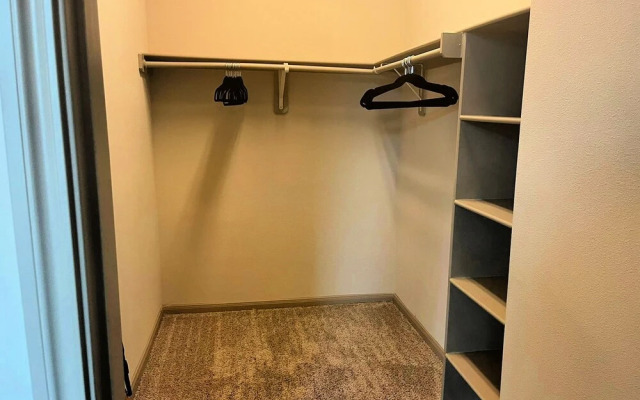 The Elvis Presley Urban Luxury Apts Austin