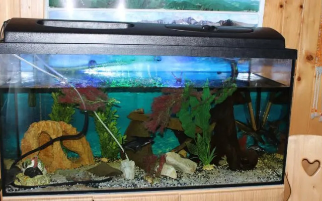 Pokoje Gościnne Bulcyk