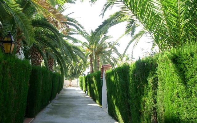 Denia El Palmar 183