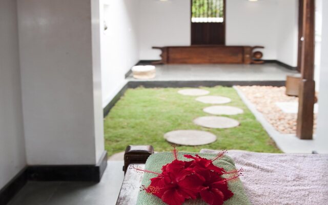 Purity at Lake Vembanad