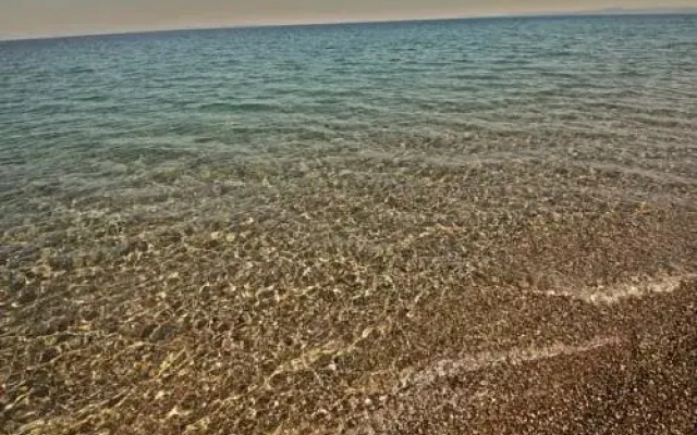 Assos Club Beyaz