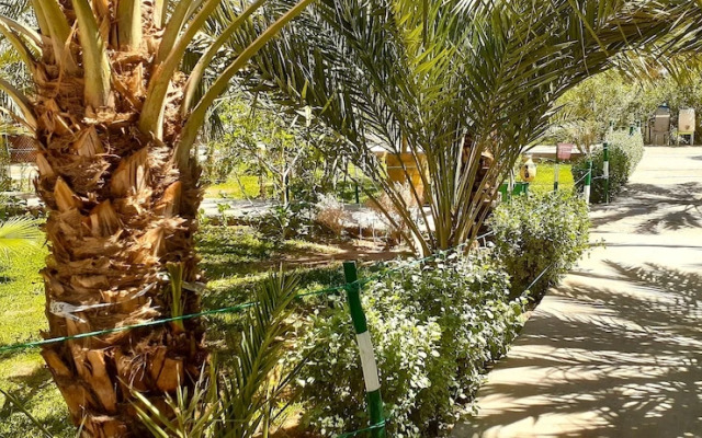 Sun Palmeraie