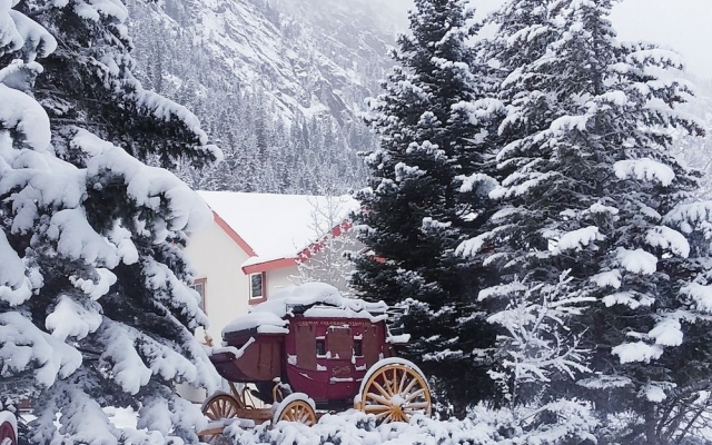 Hot Springs Inn