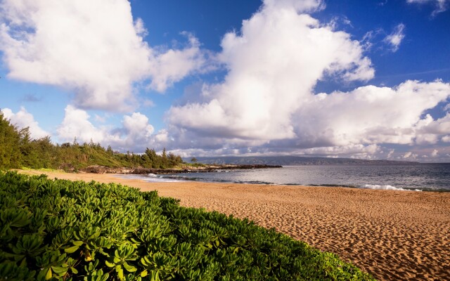 The Ritz-Carlton Maui, Kapalua