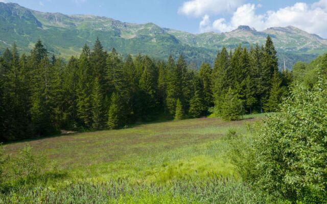 Rustico Vista Adula