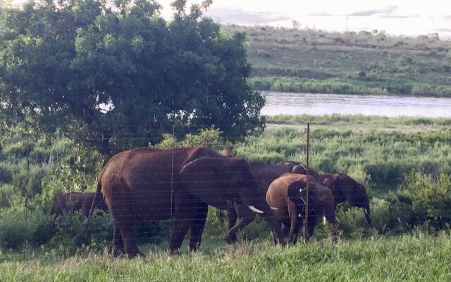 Elephant Walk Retreat