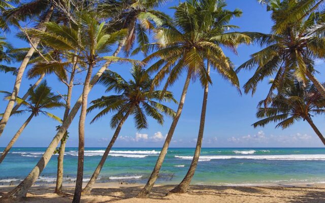 Rebirth Beach Resort