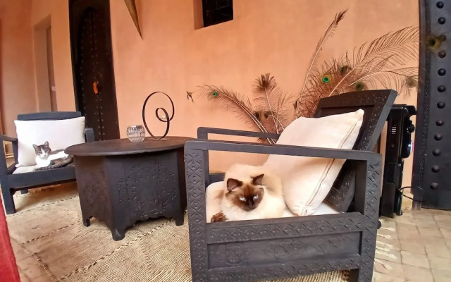Riad Jardin des Orangers