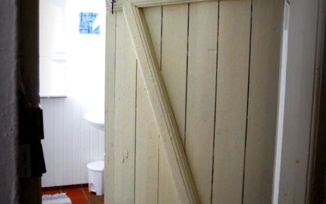 Stutteri Skandi Hest