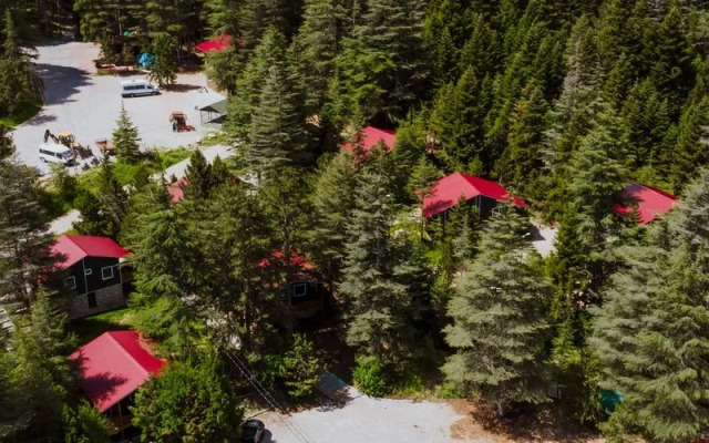 Başkonuş Yaylası Orman Evleri